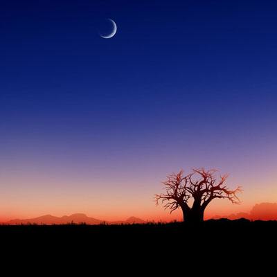 麻将胡了链接下载