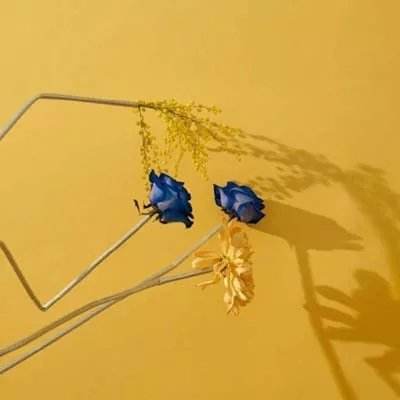 百姓彩票下载手机版